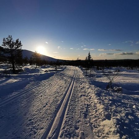 Yllaes Kanerva 105 Äkäslompolo Exterior foto